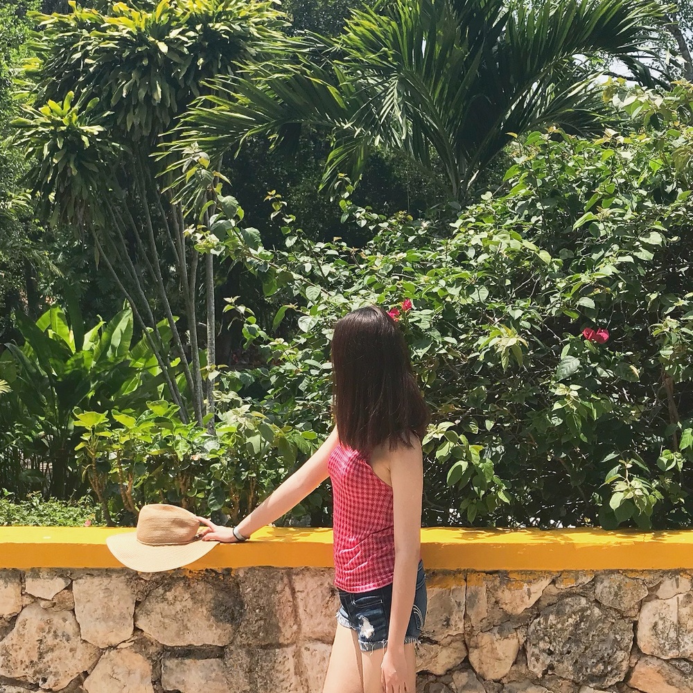 Zara Mini Red Top